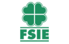Logo Fsie2 1